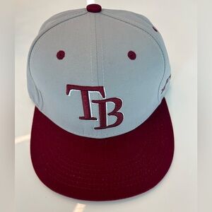 Tampa Bay Rays x FSU hat